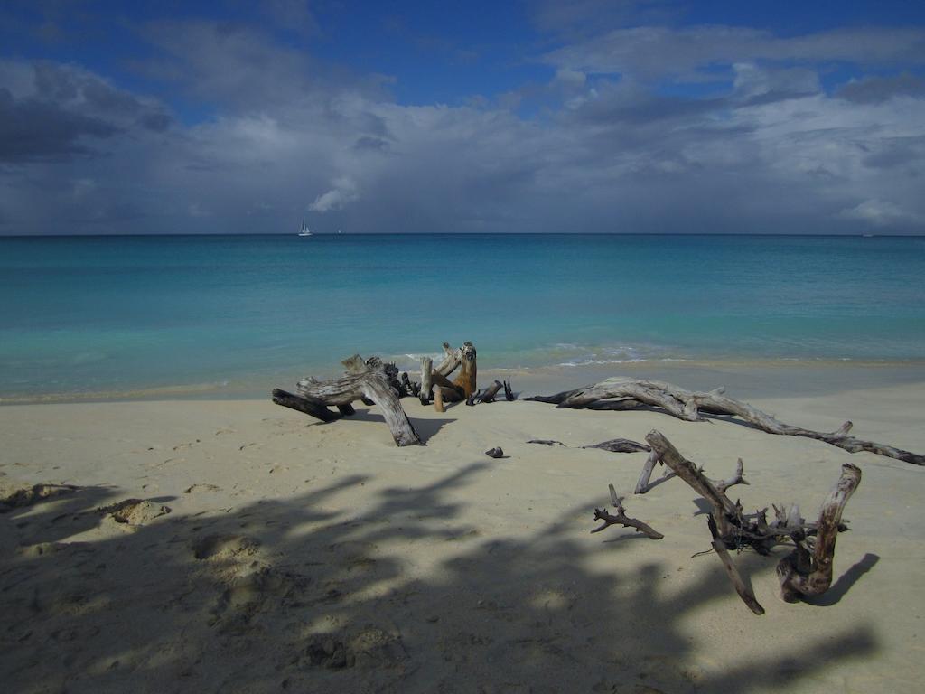 Antigua Chiama Italia Villas Jolly Harbour Rum bild